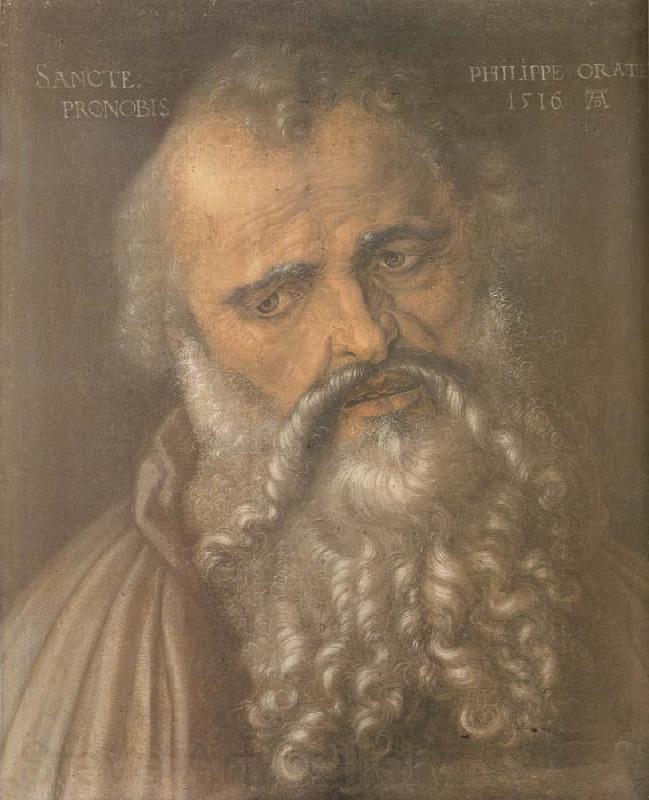 Albrecht Durer Head of the Apostle Philip